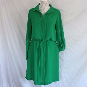 Banana Republic green long sleeve shirt dress